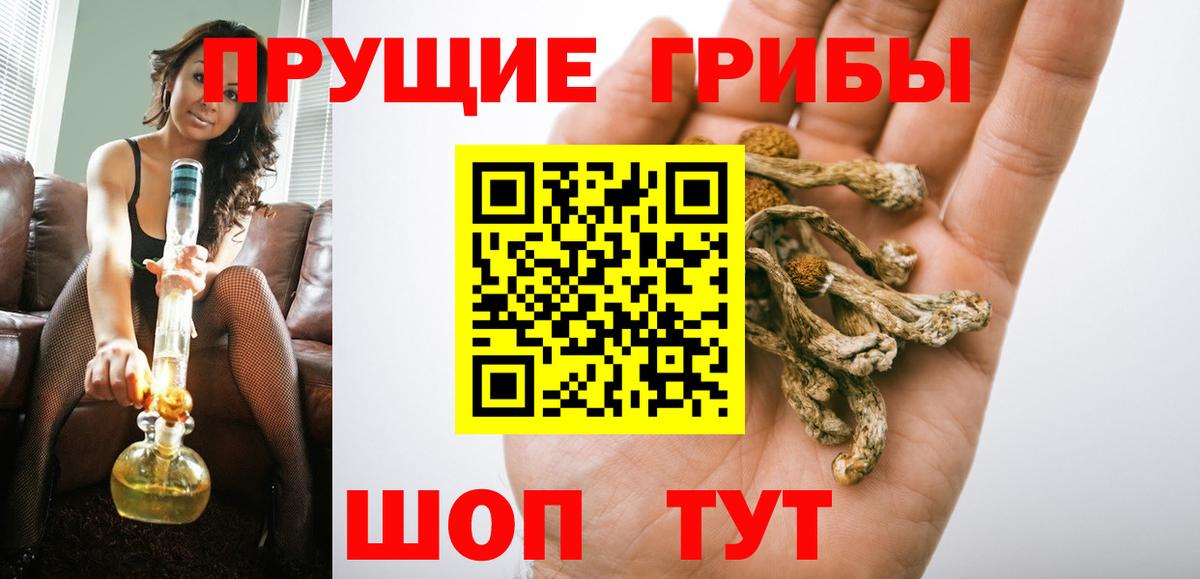 Галлюциногенные грибы Psilocybine cubensis Кстово